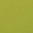 SL Polyethylene Lime Green