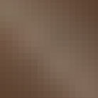 LaCivi Lacquered Bronze