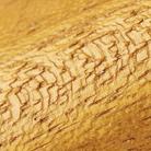 VEL Wood Oak VEL Wood Oak