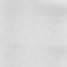 OND Oak White