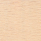FEN SM Beech C19