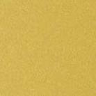 CNL Metal Yellow CNL Metal Yellow